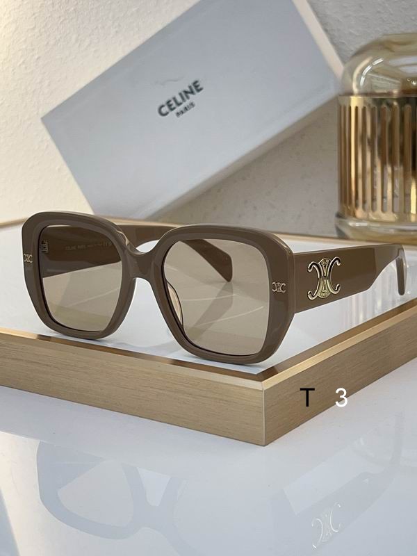 Celine Sunglasses ID:20240804-91